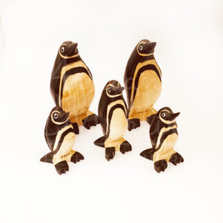 Pingüino Humboldt