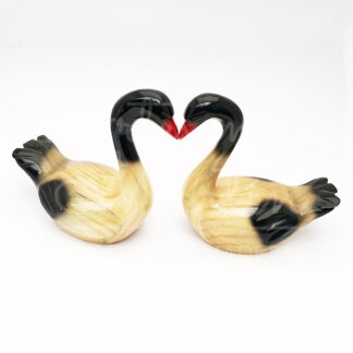 Cisne Cuello Negro
