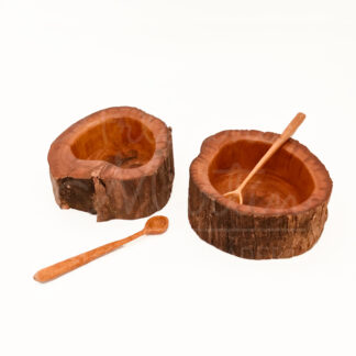 Fuente Picoyo con cuchara